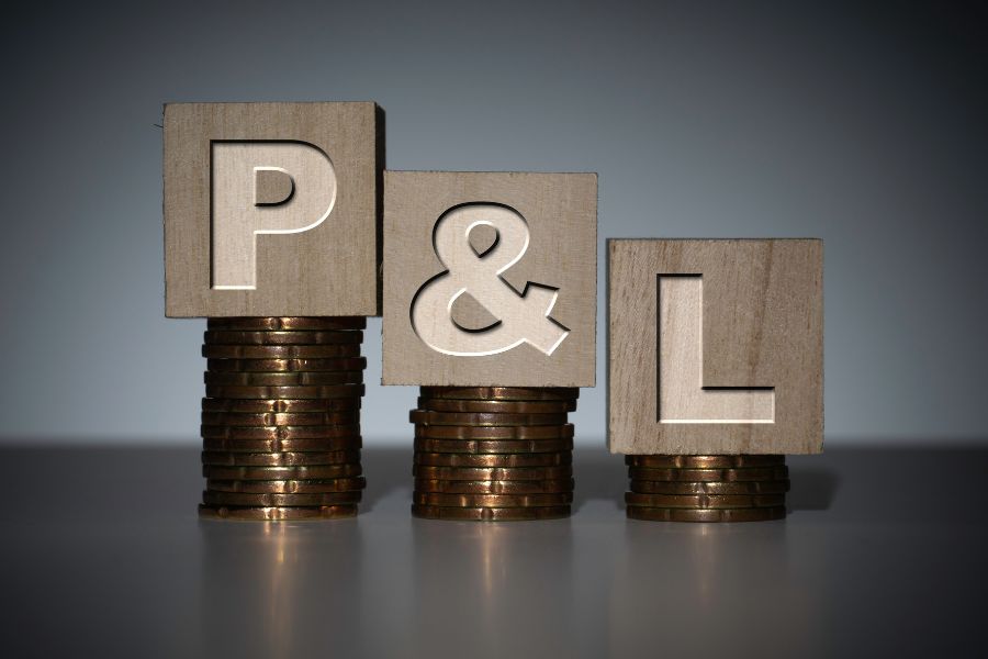 p&l מה זה